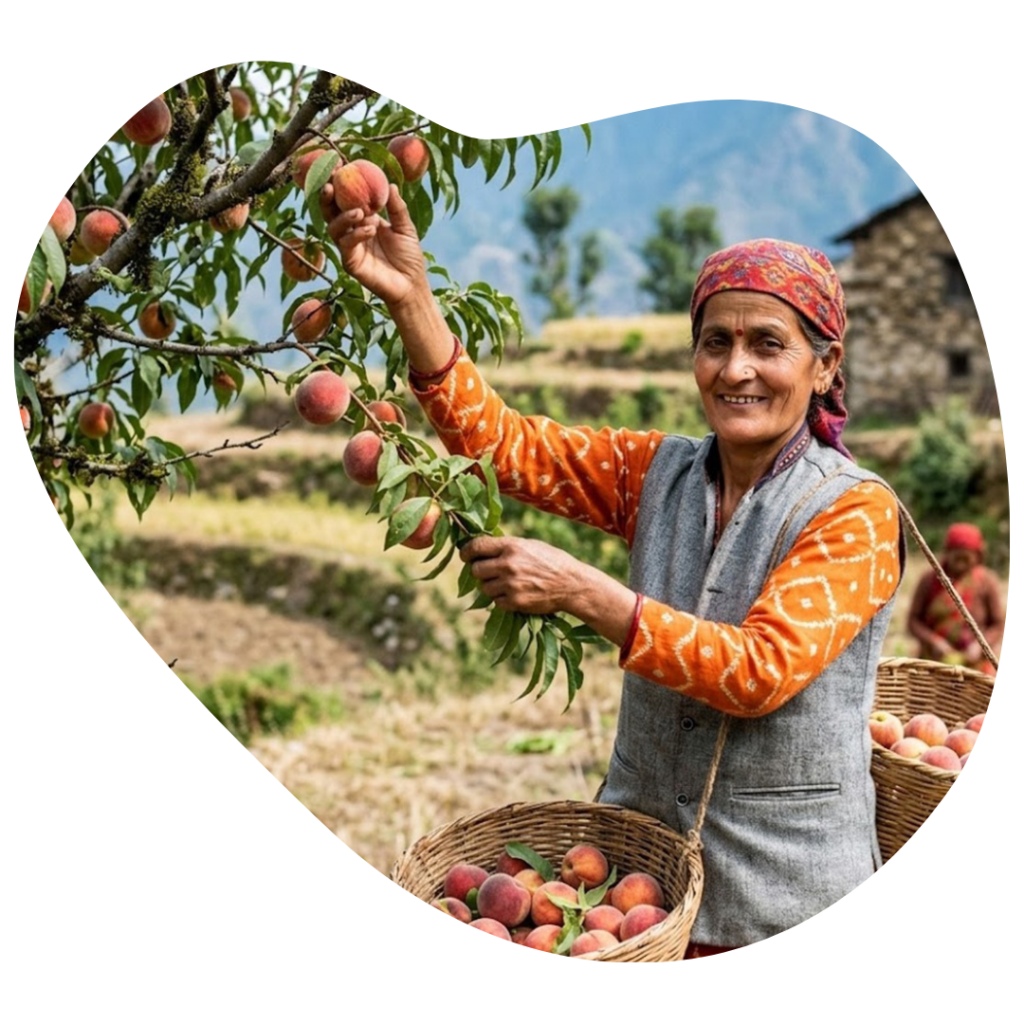 Organic Products from Uttrakhand